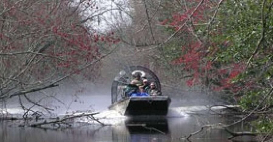 Airboat Tour of Louisiana Swamps - The Sum Up