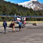 Alaska Bear Viewing Adventure from Seward - The Verdict: Is It Worth It?