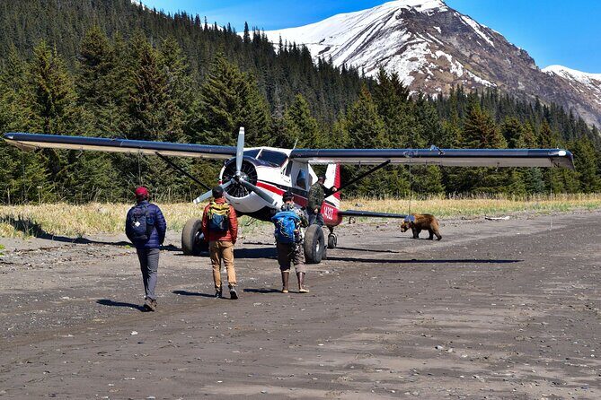 Alaska Bear Viewing Adventure from Seward - The Verdict: Is It Worth It?