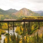 Alaska Railroad Denali to Fairbanks One Way - Comfort and Practicalities