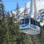 Alaska Wildlife Center and Turnagain Arm Tour w/Alyeska Tram - FAQ