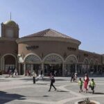 All Day San Diego Scenic Tour - Insights From Reviews: What Real Travelers Say