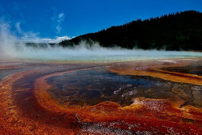 All Inclusive Yellowstone Lower Loop - What Makes This Tour Stand Out?