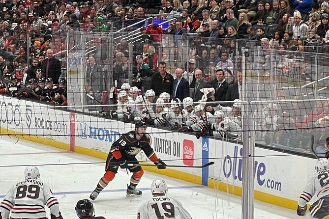 Anaheim Ducks NHL Game Ticket at Honda Center - Who Should Consider This?