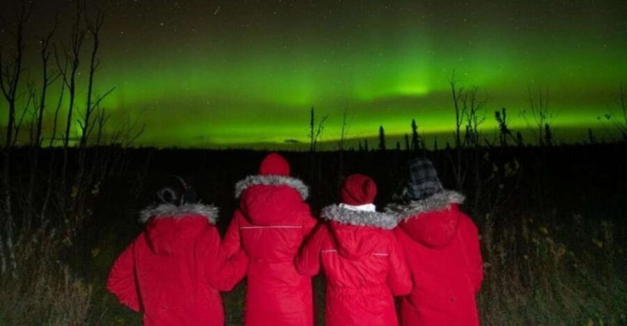 Anchorage: Nighttime Northern Lights Tour - Analyzing the Experience: What to Expect During the Tour