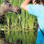 Anchorage: Sunset Photo Safari - Why This Tour Is Worth It