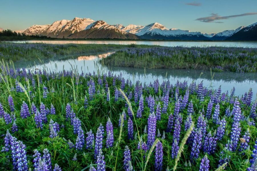 Anchorage: Turnagain Arm Highlights Photography Day Trip - The Itinerary: What to Expect