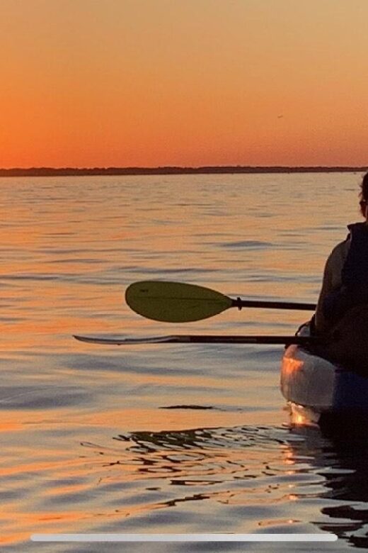 Anna Maria Island and Bradenton: Sunset Kayak Dolphin Tour - What Sets this Tour Apart?
