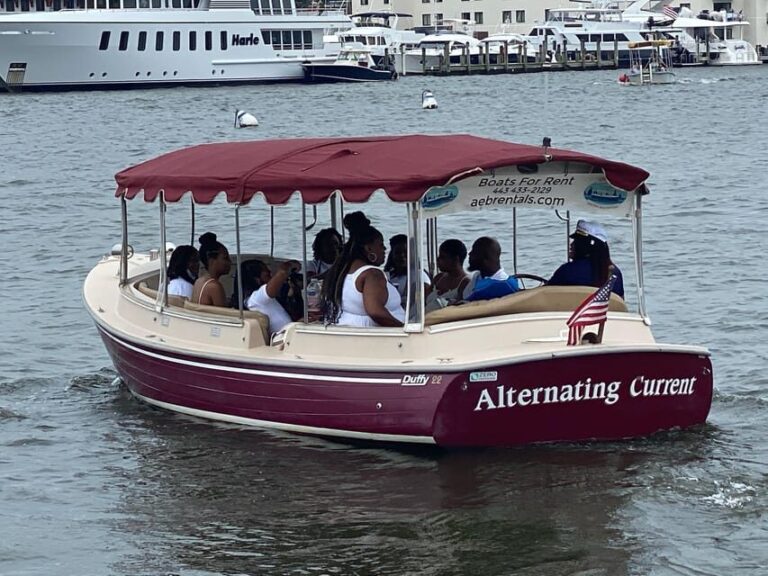 Annapolis: Electric Boat Rental - Duffy Sun Cruiser - 10ppl - Who Will Love This Experience?