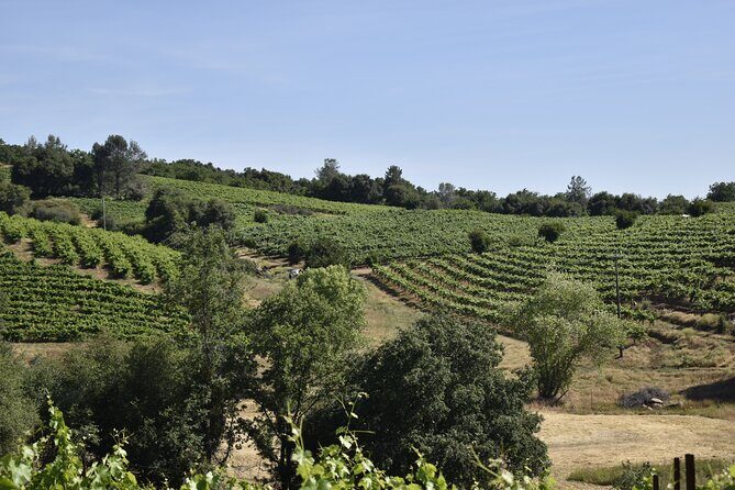 Apple Hill Wine Tasting Tours And Placerville wine tasting tours - The Value of This Tour