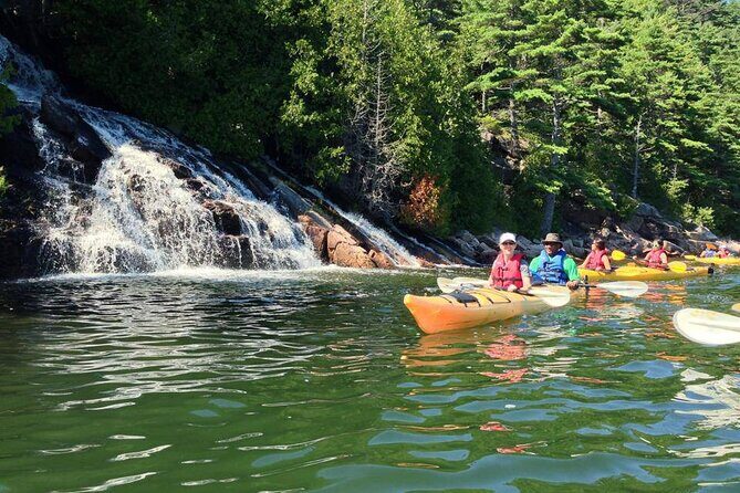 Aqua Safari Kayak tour departing Southwest Harbor - Practical Details: Pricing, Booking, and What to Know