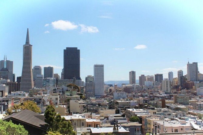 Arrival Private Transfer: Airport SFO to San Francisco in Luxury Car - Vehicle Comfort and Safety Features