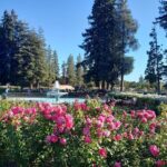 Art Class for Mindful Self-Exploration and Reset - Practical Details