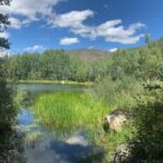 Aspen: Guided Light Hike with Roaring Fork River Views - Why This Tour Fits Different Travelers