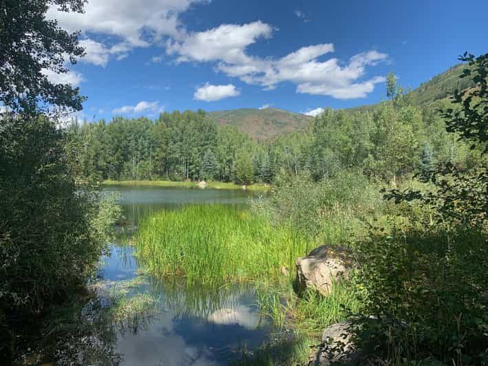 Aspen: Guided Light Hike with Roaring Fork River Views - Why This Tour Fits Different Travelers