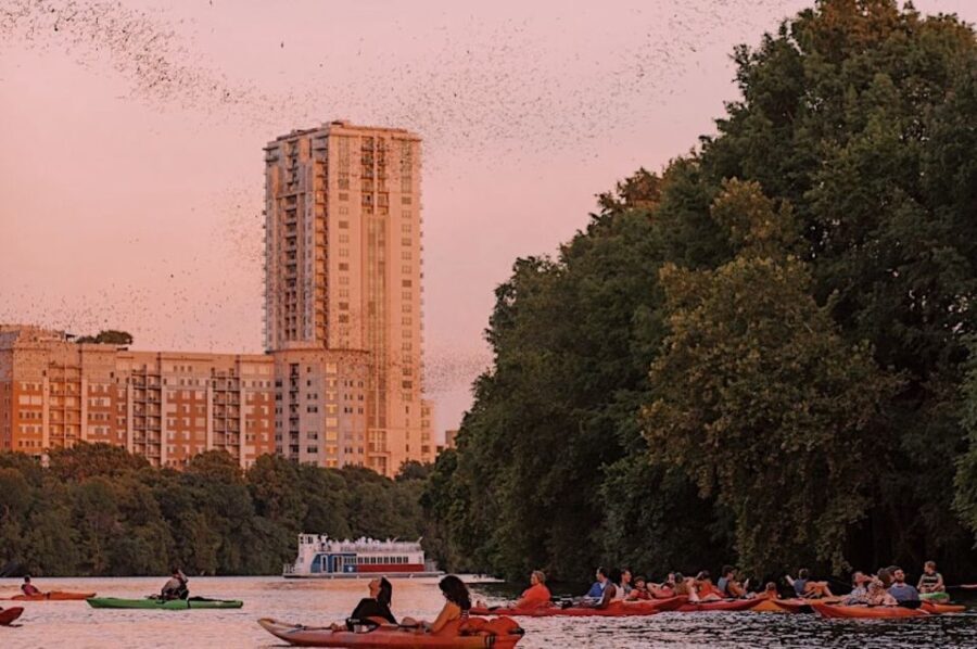 Austin: Sunset Bat Watching Kayak Tour - A Step-by-Step Breakdown of the Experience