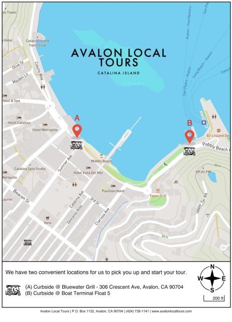 Avalon: Private Golf Cart Tour with Driver-Guide - Who Will Love This Tour?