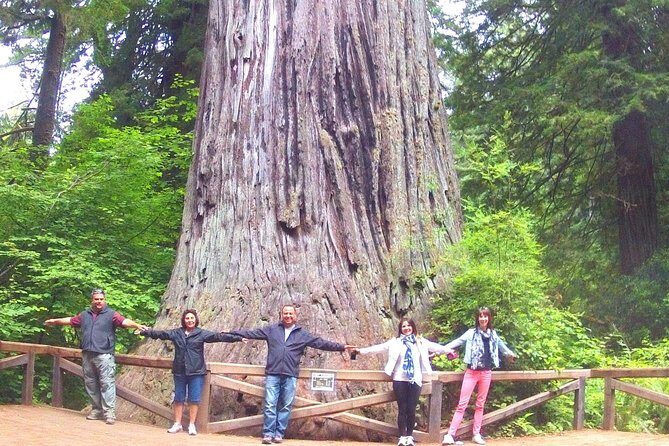 Avenue of the Giant Redwood Private 1 day Tour from San Francisco - FAQ