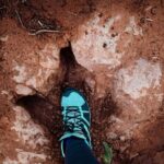 Babylon Arch Hike and Desert Wildlife Adventure - Why Choose This Tour?