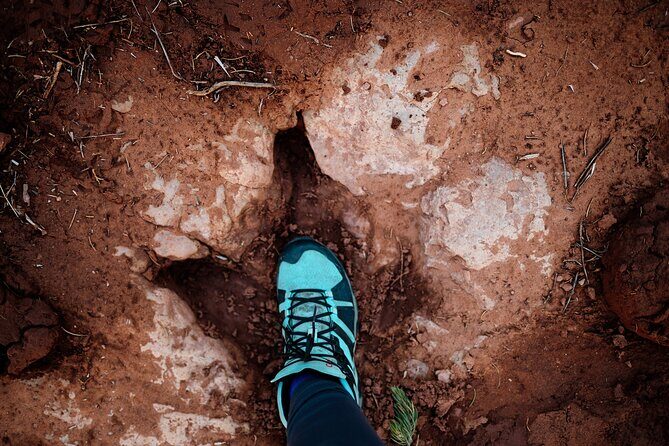 Babylon Arch Hike and Desert Wildlife Adventure - Why Choose This Tour?