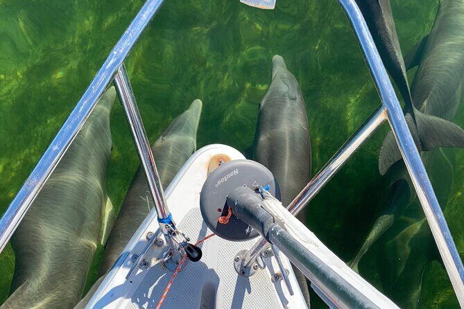Backcountry Catamaran Bayside Sailing in Key Largo - Why This Tour Stands Out