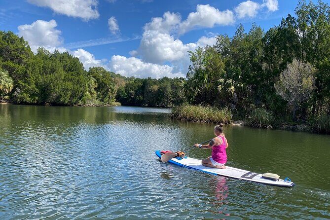 Backland Alligator Electric Paddle Tour - Final Thoughts: Is the Backland Alligator Electric Paddle Tour Worth It?