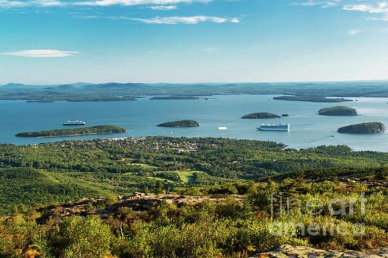 Bar Harbor: Acadia National Park Tour with Lobster Roll - The Sum Up: Who Will Love This Tour?