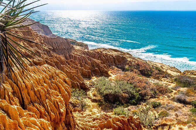 Beaches & Bluffs San Diego's Ultimate Coastal Driving Tour - Final Thoughts