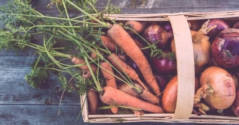 Beacon: Food & Farm Tour in the Hudson Valley - A Detailed Look at the Experience
