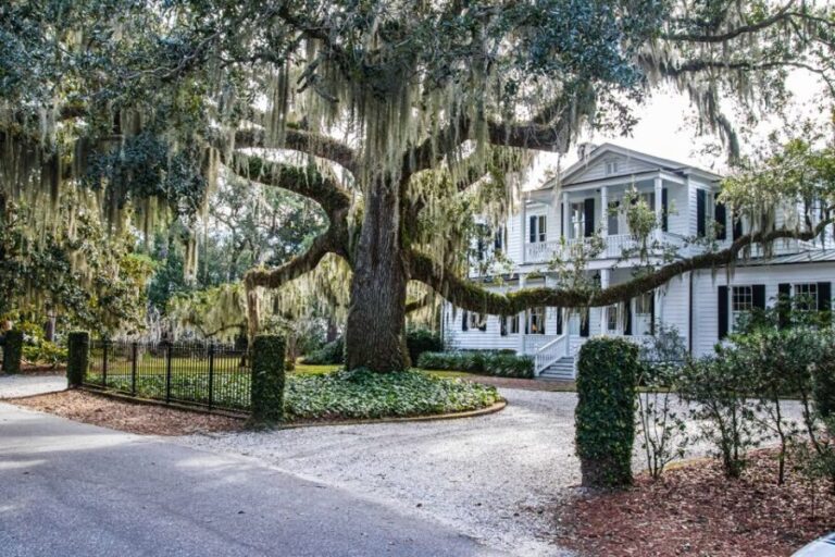 Beaufort: Historic City Tour by Bus - Final Thoughts: Who Is This Tour For?