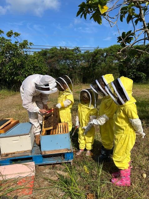 Bee Farm Tour & Honey Tasting - Who This Tour Is Best For