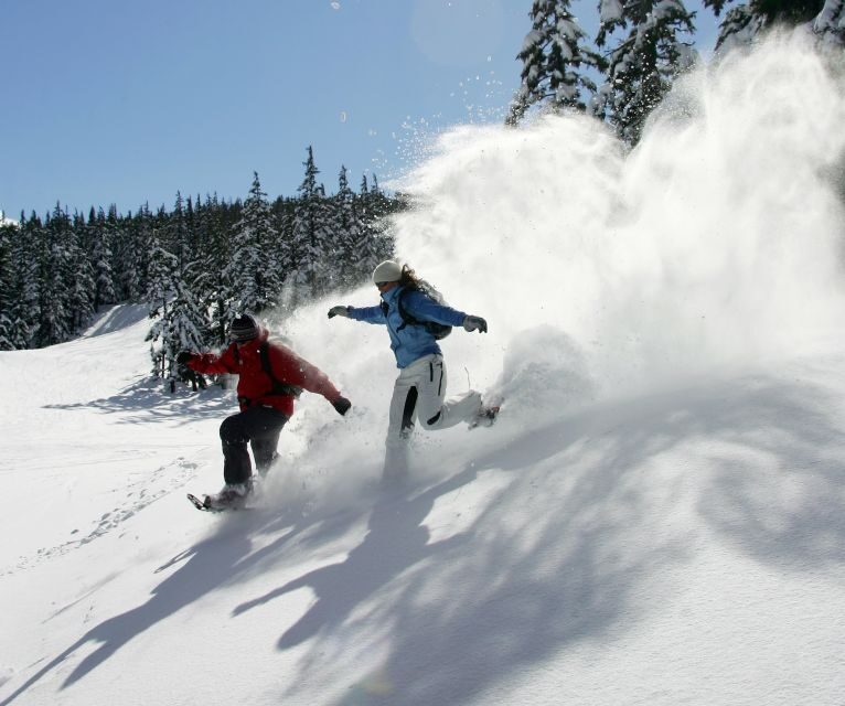 Bend: Half-Day Snowshoe Tour in the Cascade Mountain Range - The Value of This Tour