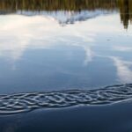 Bend: Moonlight and Starlight Canoe Tour - What to Expect: Day of the Tour