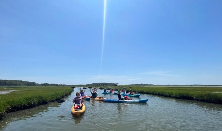 Berlin: Assateague Island Wildlife Discovery Kayak Tour - Who Will Enjoy This Tour Most?