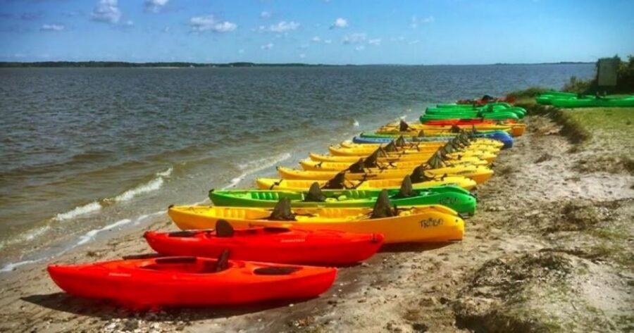 Berlin, MD: Full-, Half, or Quarter-Day Kayak Rental - Why This Experience Works Best for