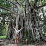 Best of Fort Lauderdale Small Group Tour with Intercoastal Cruise - Why This Tour Offers Value