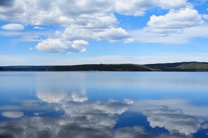 Best of Yellowstone Nat'l Park from W Yellowstone - Private Tour - An In-Depth Look at the Yellowstone Private Tour