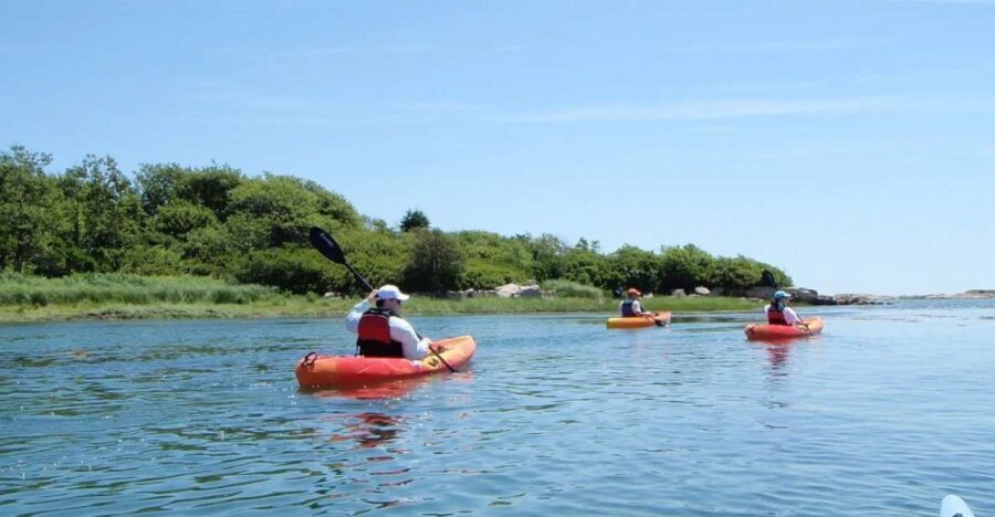 Biddeford Pool: Half Day Kayak or SUP Rental - Who Will Love This Experience?