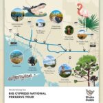 Big Cypress National Preserve Audio Tour Guide - How the Tour Works in Practice