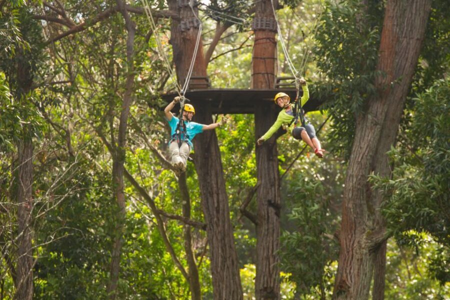 Big Island: 3-Hour Kohala Canopy Zipline Adventure - The Itinerary: What Makes Each Stop Special