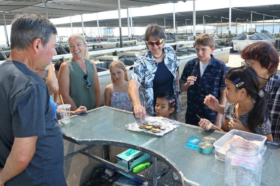 Big Island: Abalone Farm Guided Tour with Tasting - Practical Details and Tips