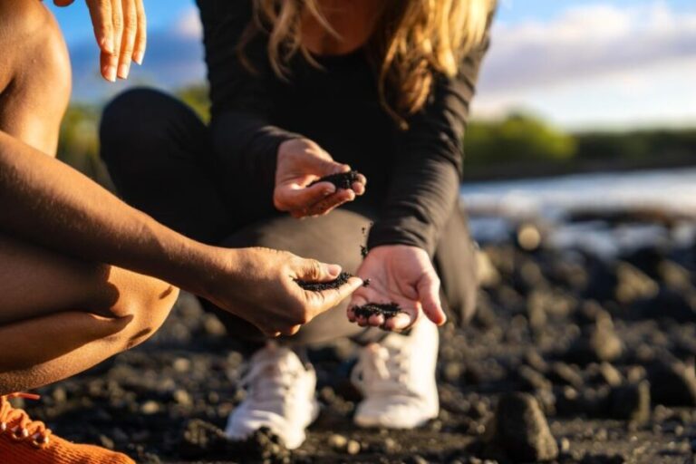 Big Island: Coffee, Black Sand, Volcano and Waterfall Tour - Highlights and Authentic Experiences