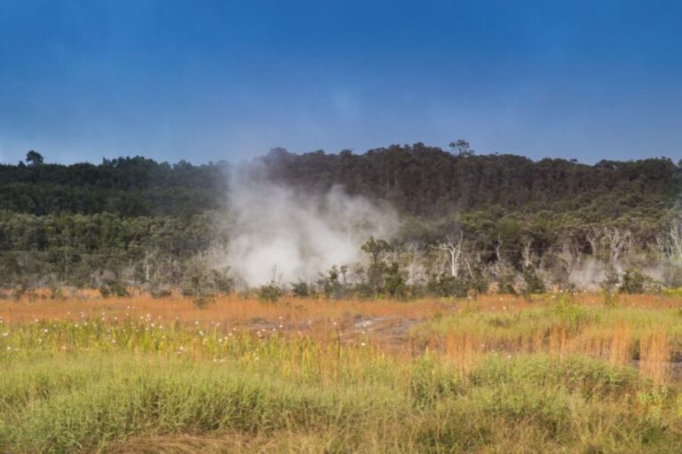 Big Island, Hawaii: Volcano and Stargazing Tour with Dinner - Who Will Love This Tour?