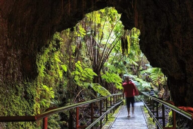 Big Island Hawaii Volcano Day tour from Oahu and Hotel PU - In-Depth Breakdown of the Itinerary