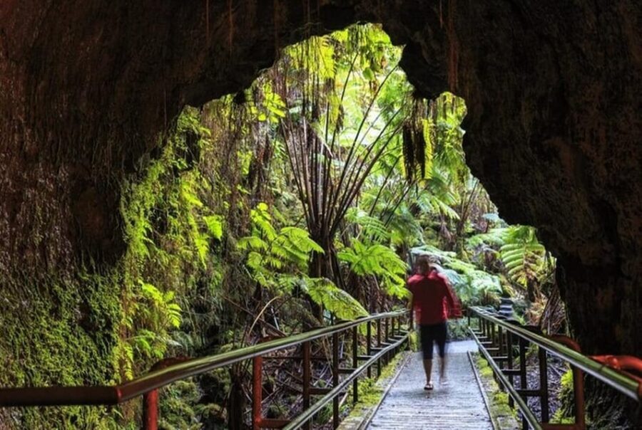 Big Island Hawaii Volcano Day tour from Oahu and Hotel PU - In-Depth Breakdown of the Itinerary