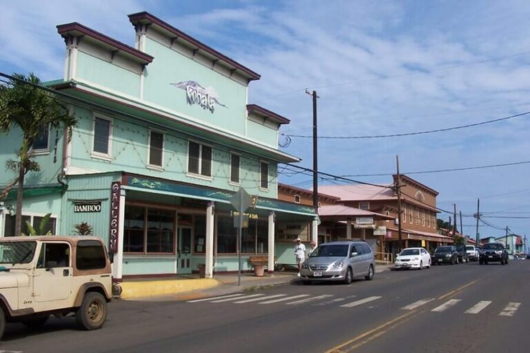 Big Island Kohala Coast & Pololu Lookout Slingshot Tour - Who Should Consider This Tour?