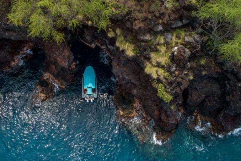 Big Island: South Kona Snorkeling and Coastline Exploration - Who Is This Tour Best For?