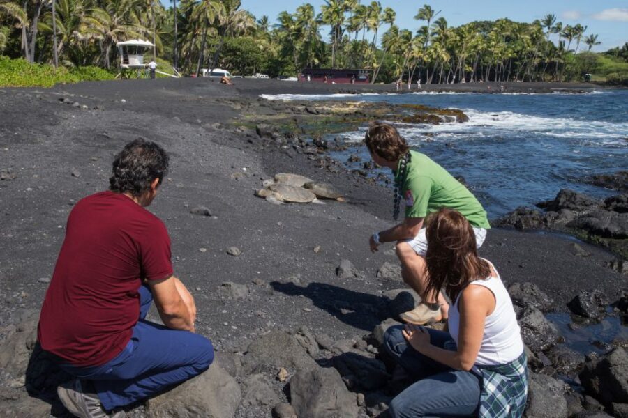Big Island: Volcanoes, Waterfalls, & Coffee Farm Day-Trip - Transportation and Logistics