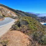 Big Sur: Sightseeing Tour with 4 to 5 Stops - The Value of This Tour