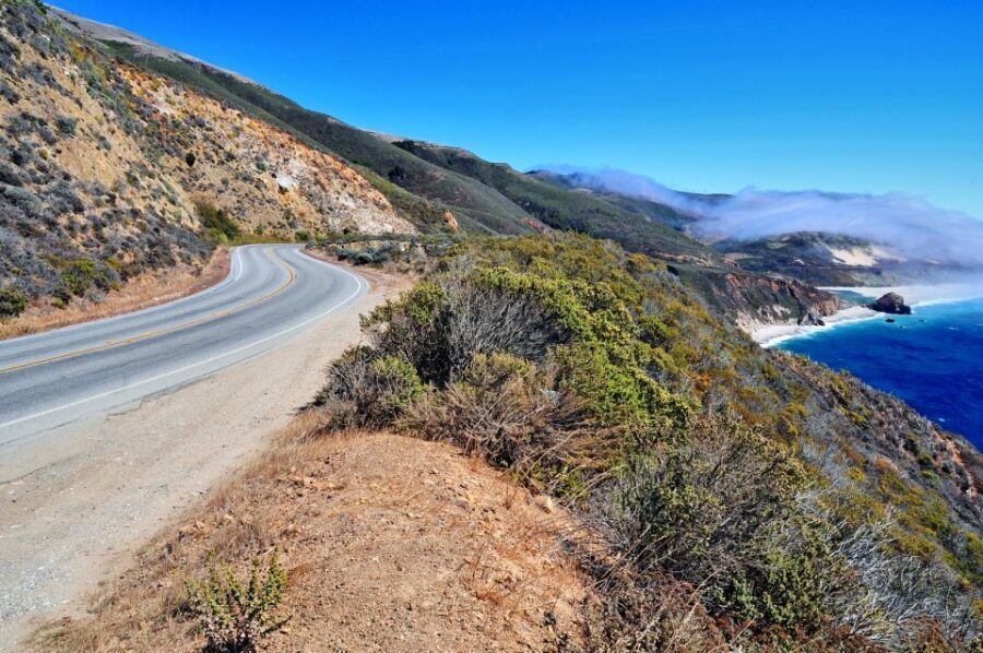 Big Sur: Sightseeing Tour with 4 to 5 Stops - The Value of This Tour